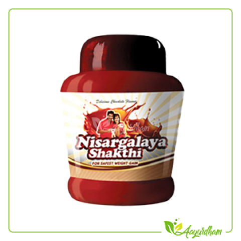 Nisargalaya Shakthi(Small)