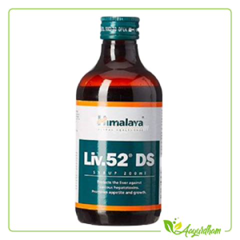 Liv 52 Syrup (Big)