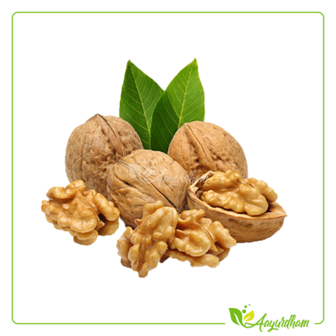 Walnut with Shell
