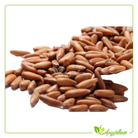 Himalayan Pine Nuts