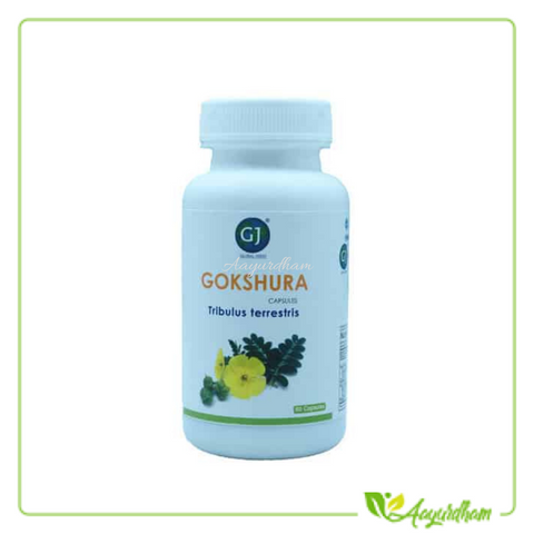 Gj Gokshura capsule